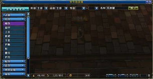 暢游首款3D MMORPG大作 從研發(fā)到推廣的全方位探索